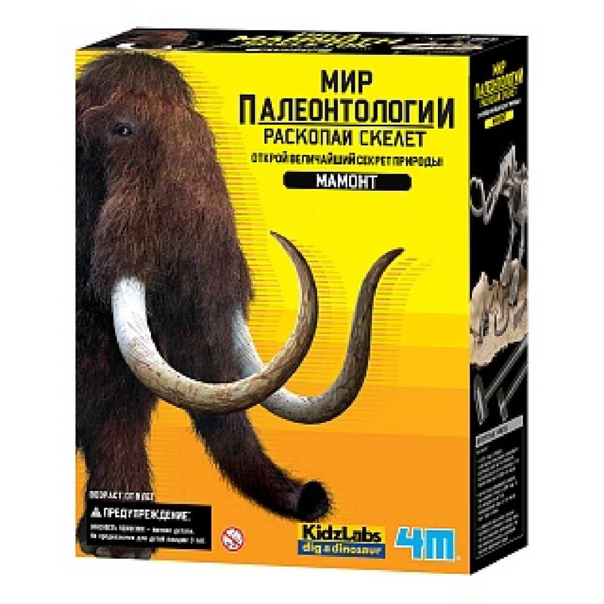 Новый проект (6)
