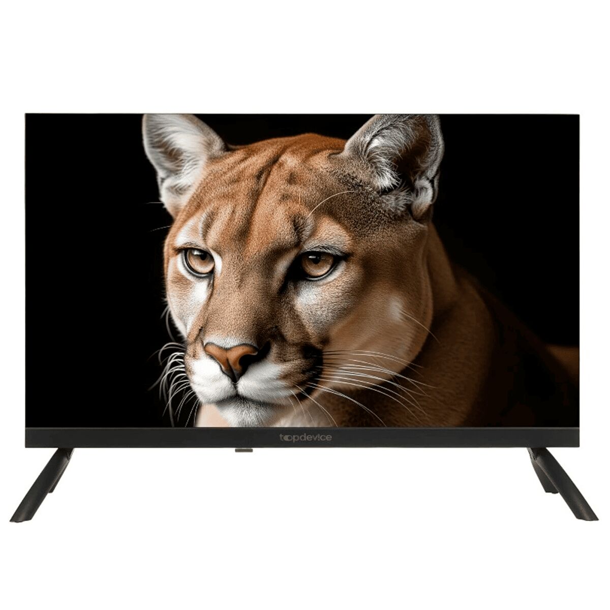 Телевизор Topdevice TDWC24BH1000I (1) (1)